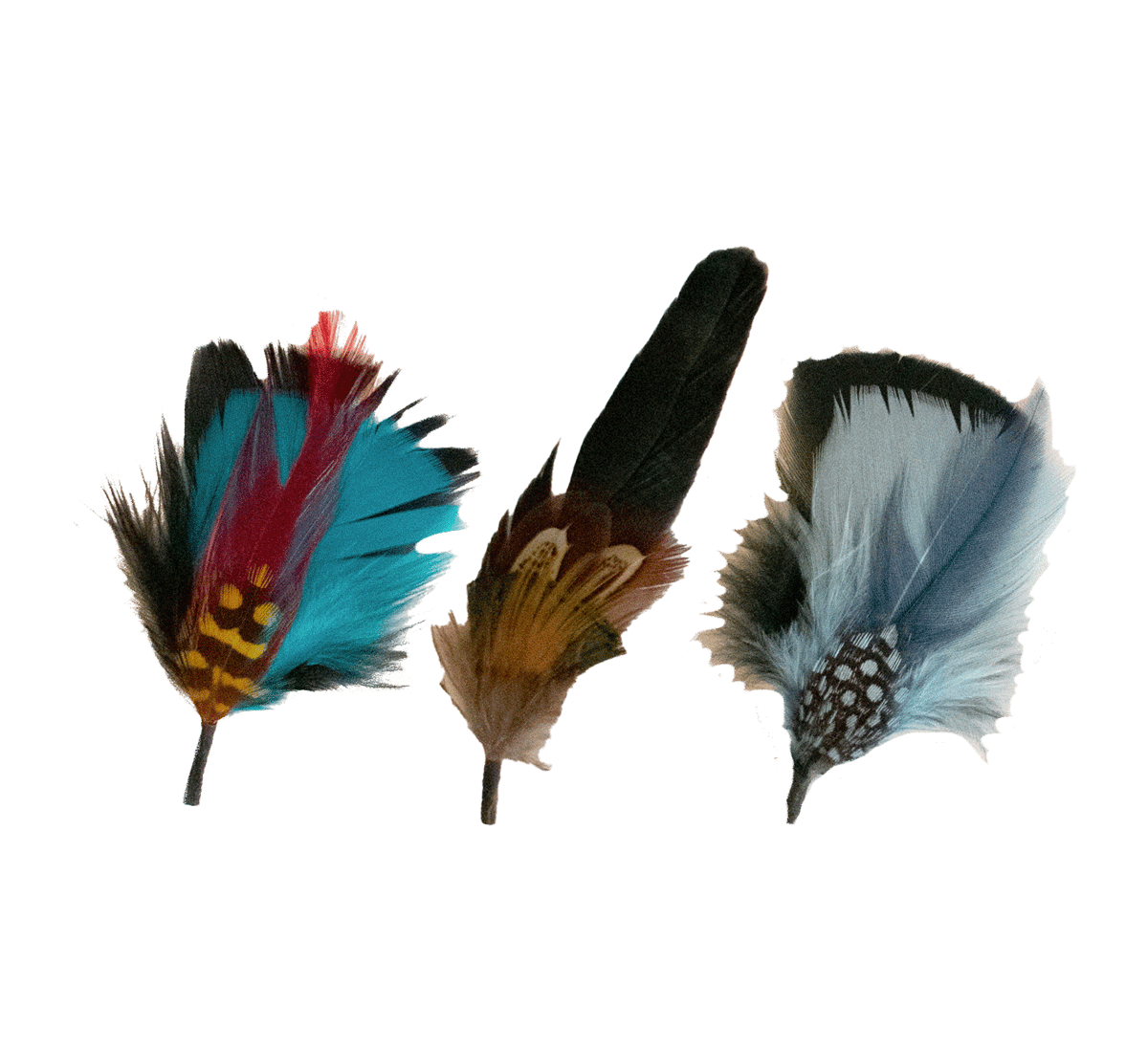 3x Feathers Pack