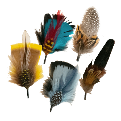 5x Pack Feathers