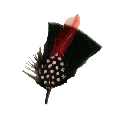 Black Feather