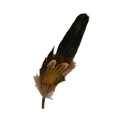 Black 57 Feather