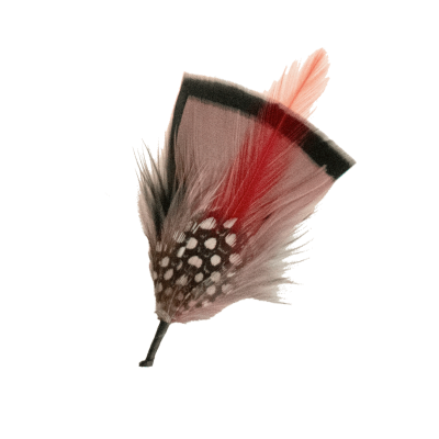Brown Feather