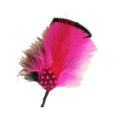 Fushia Feather