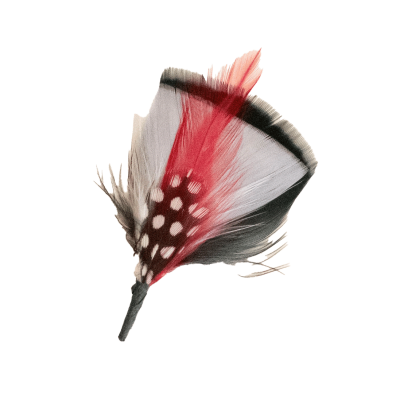 White Feather