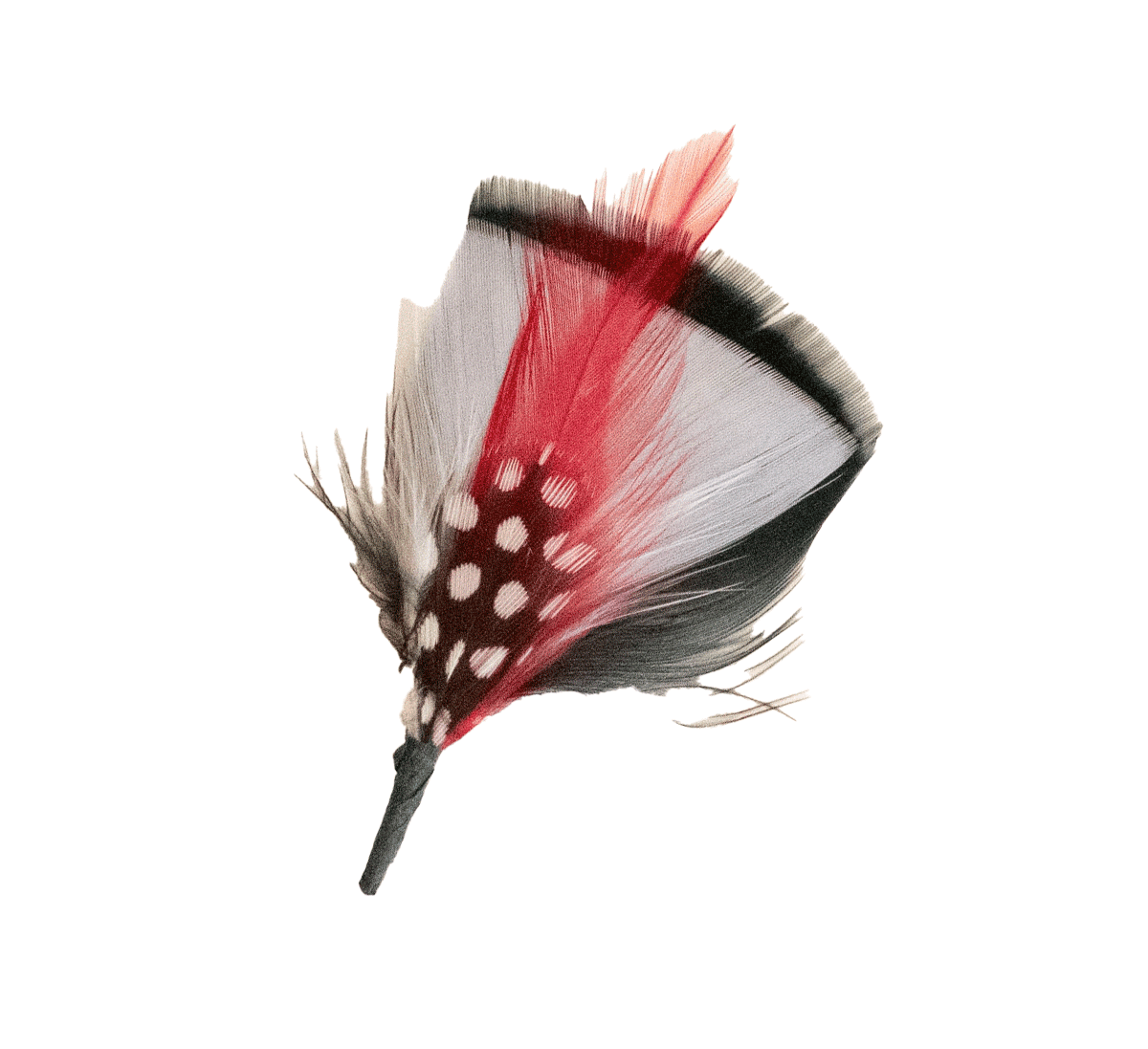 White Feather