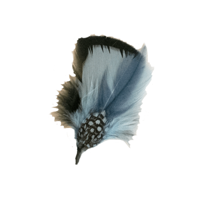 Skyblue Feather