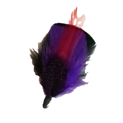 Violet Feather