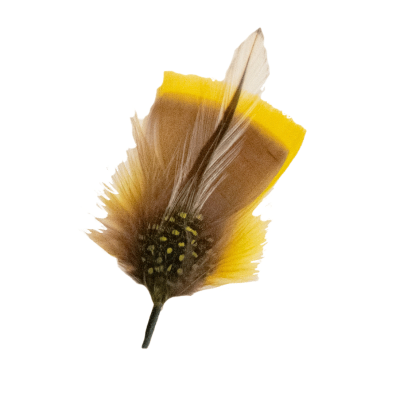 Yellow Feather