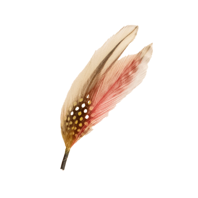 Multi-632 Feather