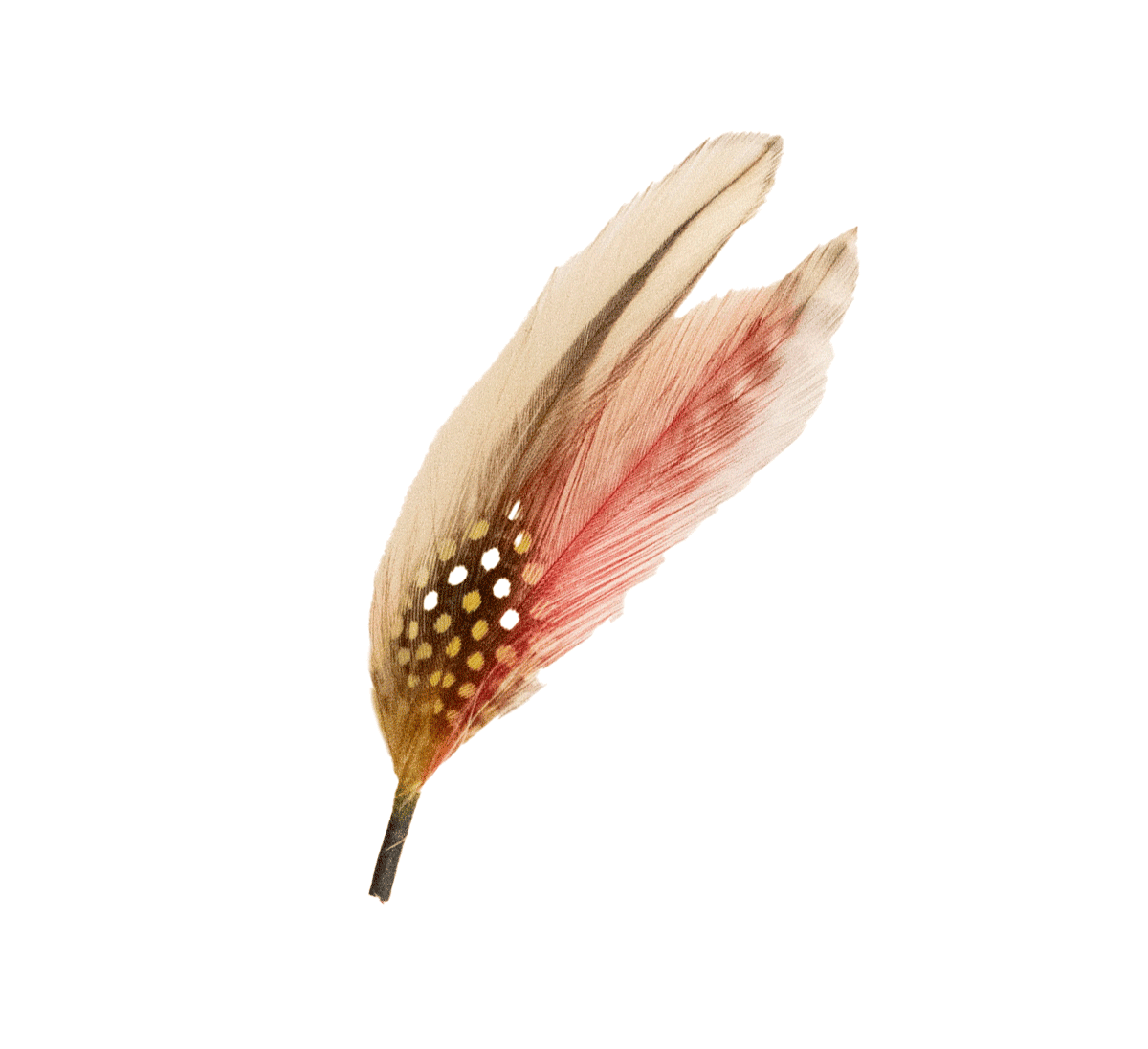 Multi-632 Feather